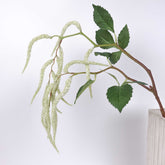Amaranthus Spray 90cmH